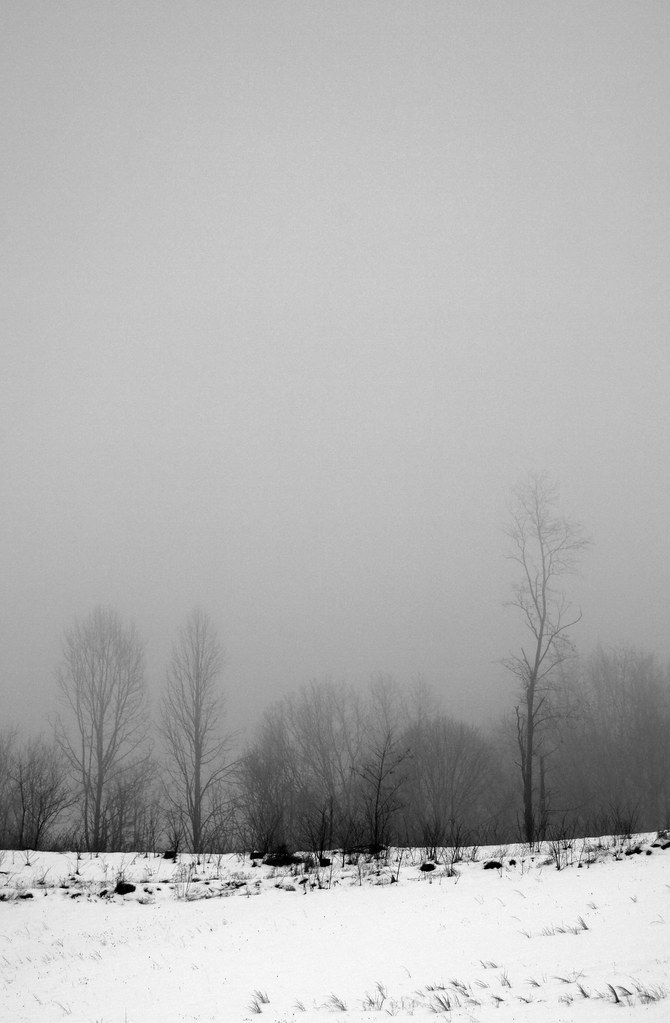 Elevation of Flat Top, WV, USA Topographic Map Altitude Map