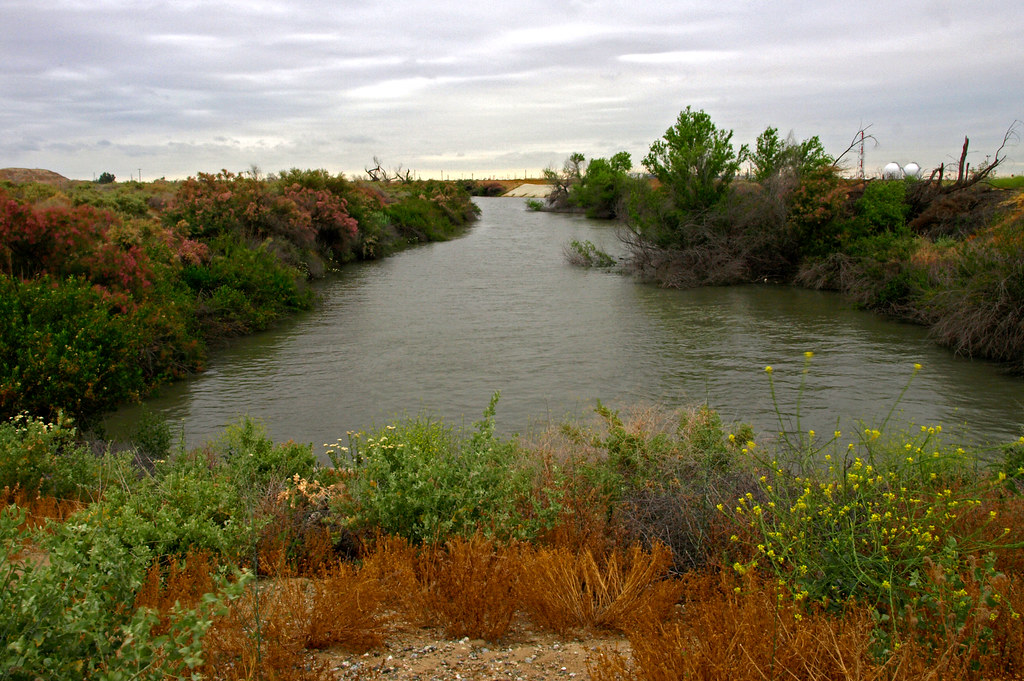 Elevation of Elk St, Tupman, CA, USA Topographic Map Altitude Map
