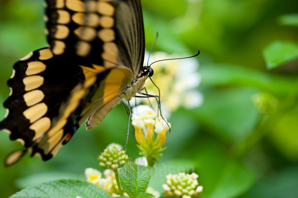 Elevation of Taylorsville Beach Seafood , Taylorsville Beach Ct