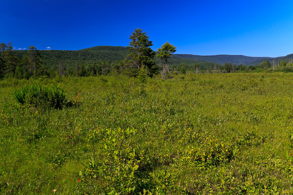 Elevation of Marlinton, WV, USA Topographic Map Altitude Map