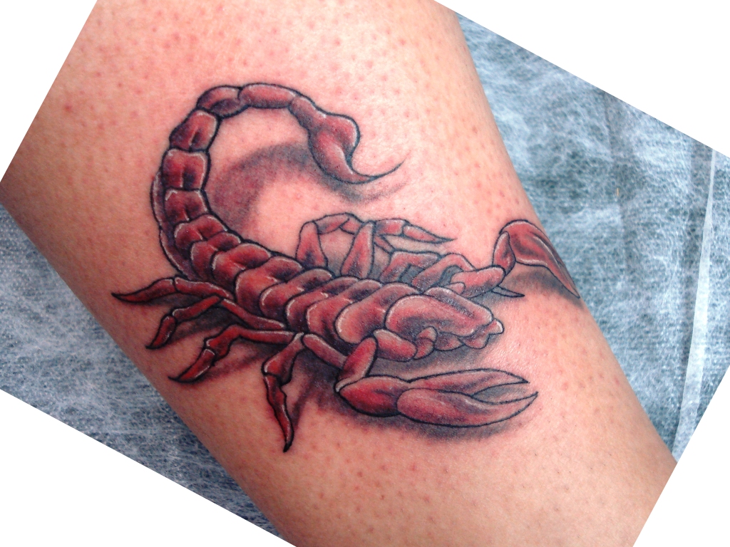 Escorpião tattoo a photo on Flickriver