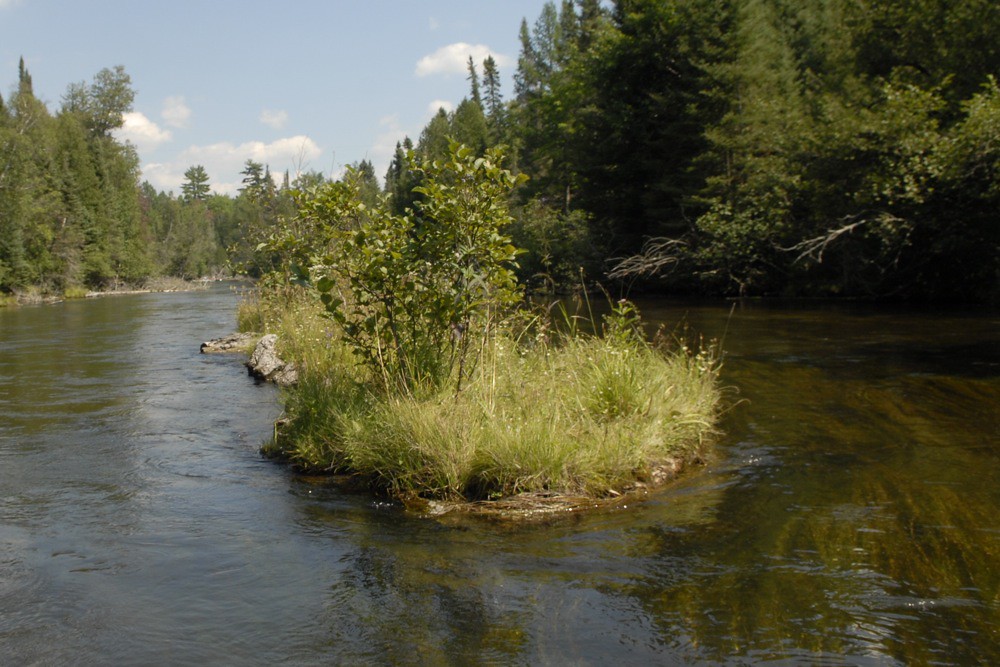 Elevation of South Branch Township, MI, USA Topographic Map
