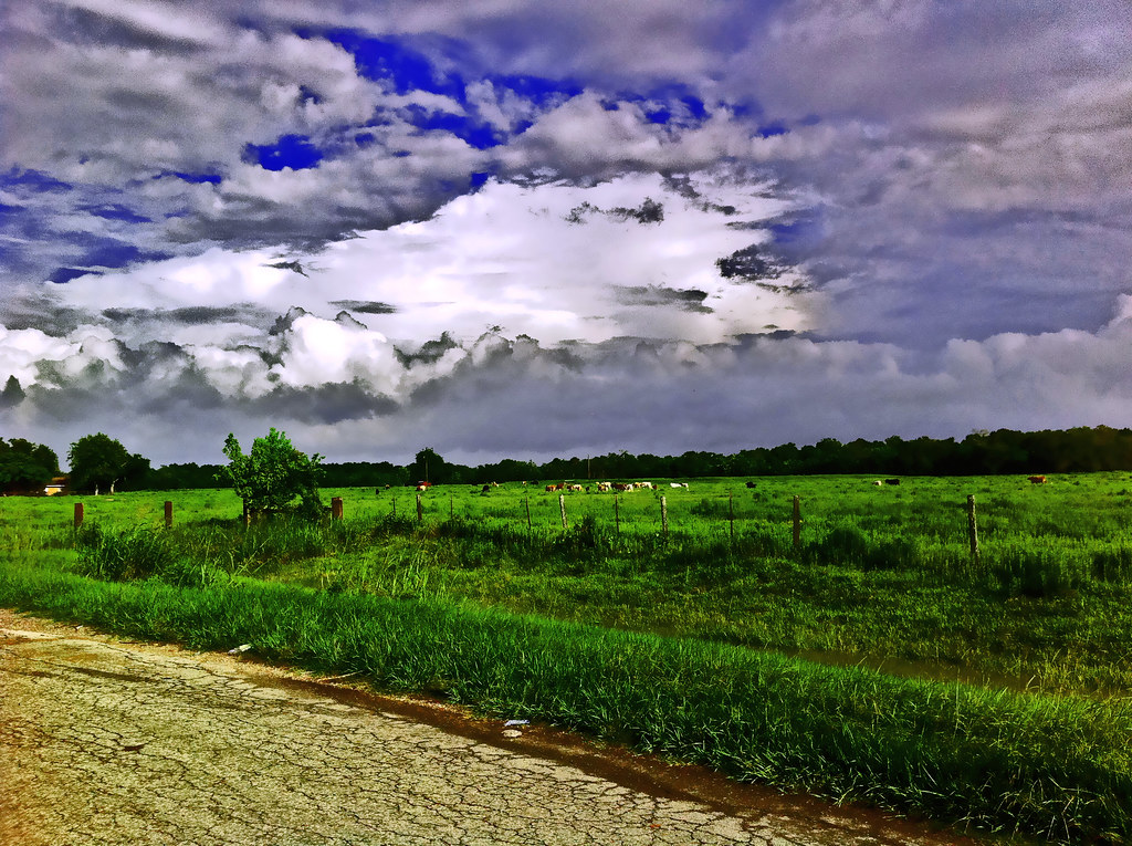 Elevation of West Columbia, TX, USA Topographic Map Altitude Map
