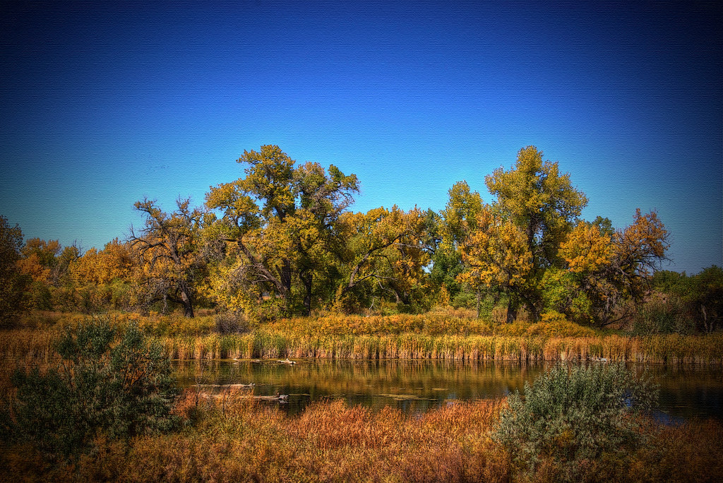 Elevation of Parker, CO, USA Topographic Map Altitude Map