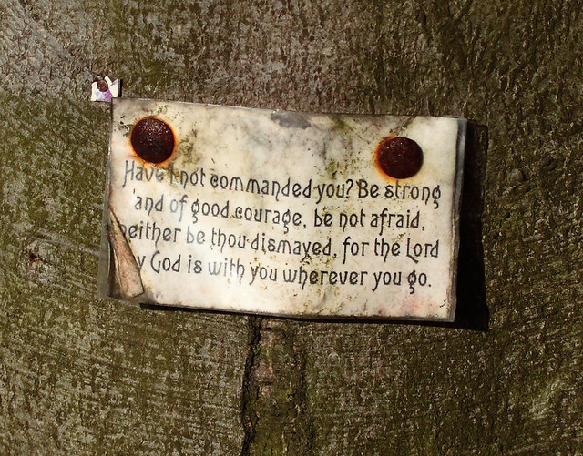 The Word Joshua Chapter 1 verse 9 A verse of highly encou… Flickr Photo Sharing!