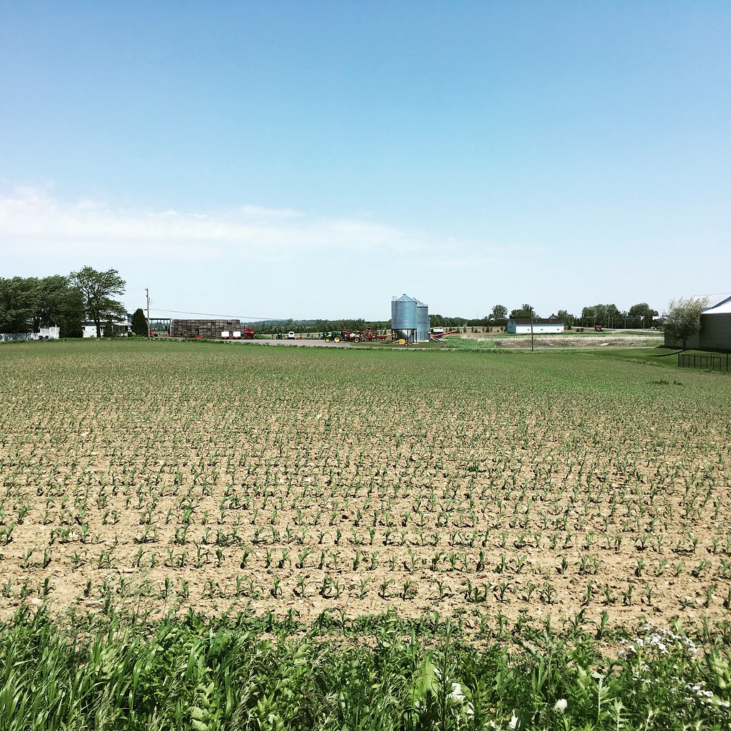 Sherrington Map Montérégie, Quebec Mapcarta