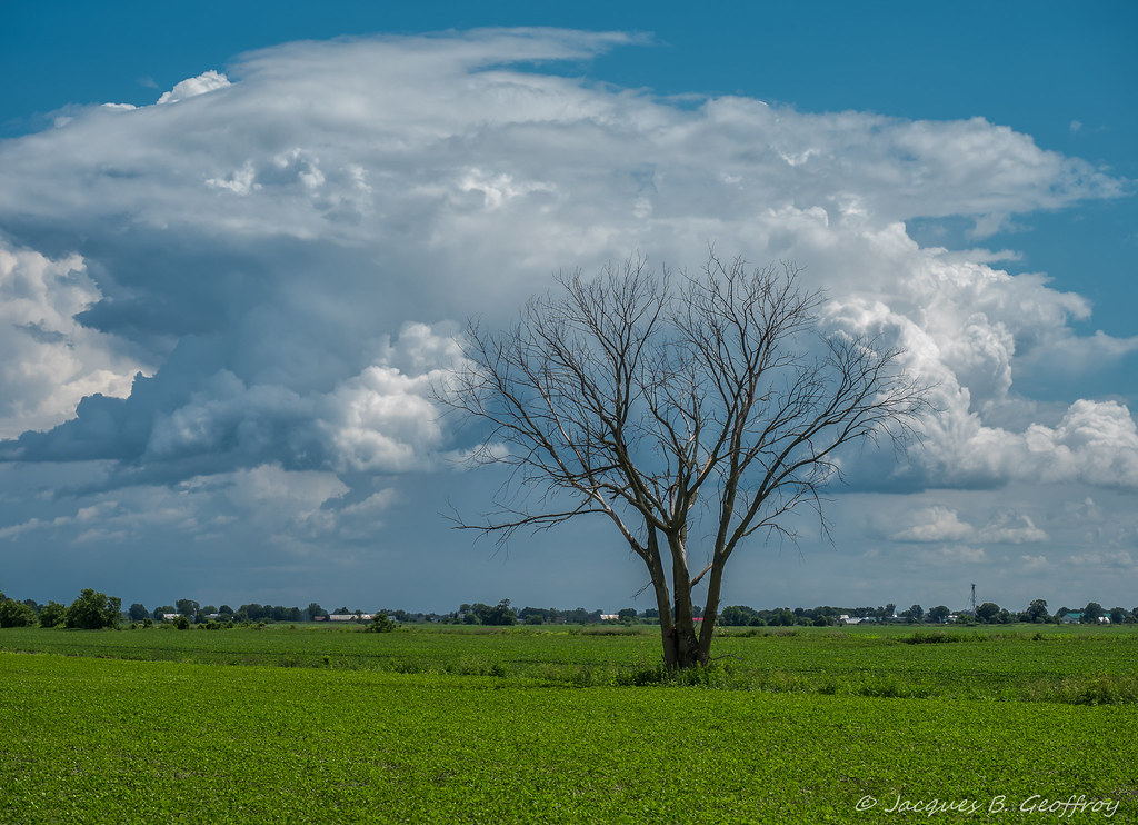 Elevation of SaintCuthbert, QC J0K, Canada Topographic Map