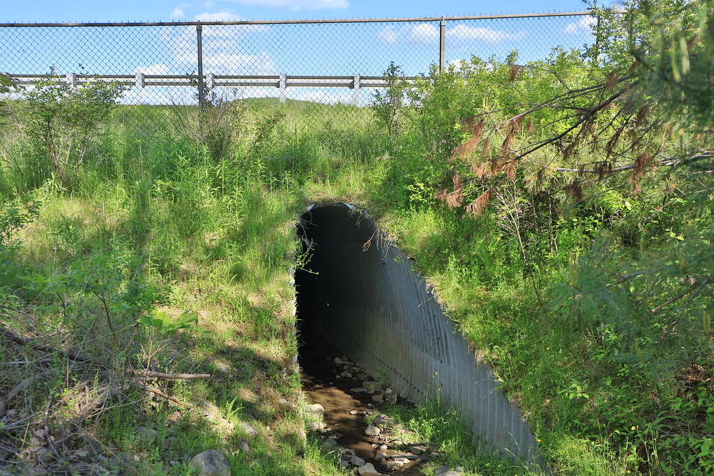 Village of Arkport Map Steuben County, New York Mapcarta