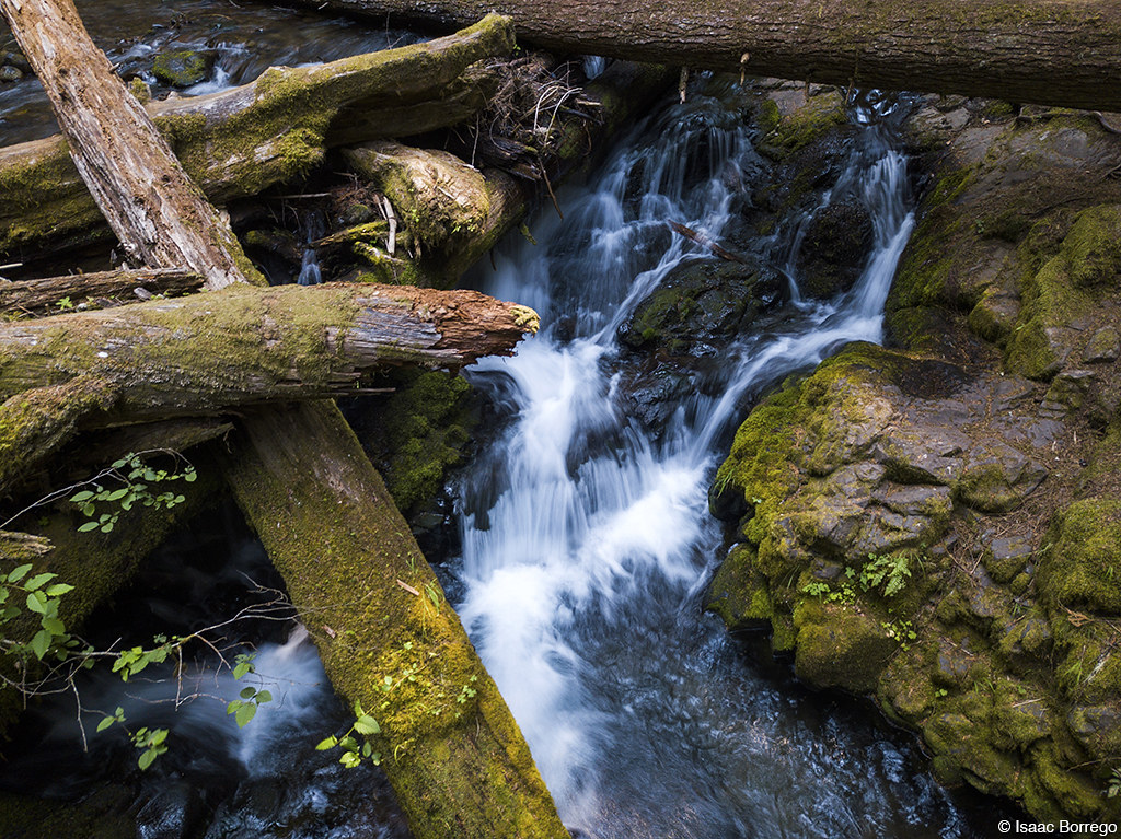 Grassy Knoll Washington Tripcarta