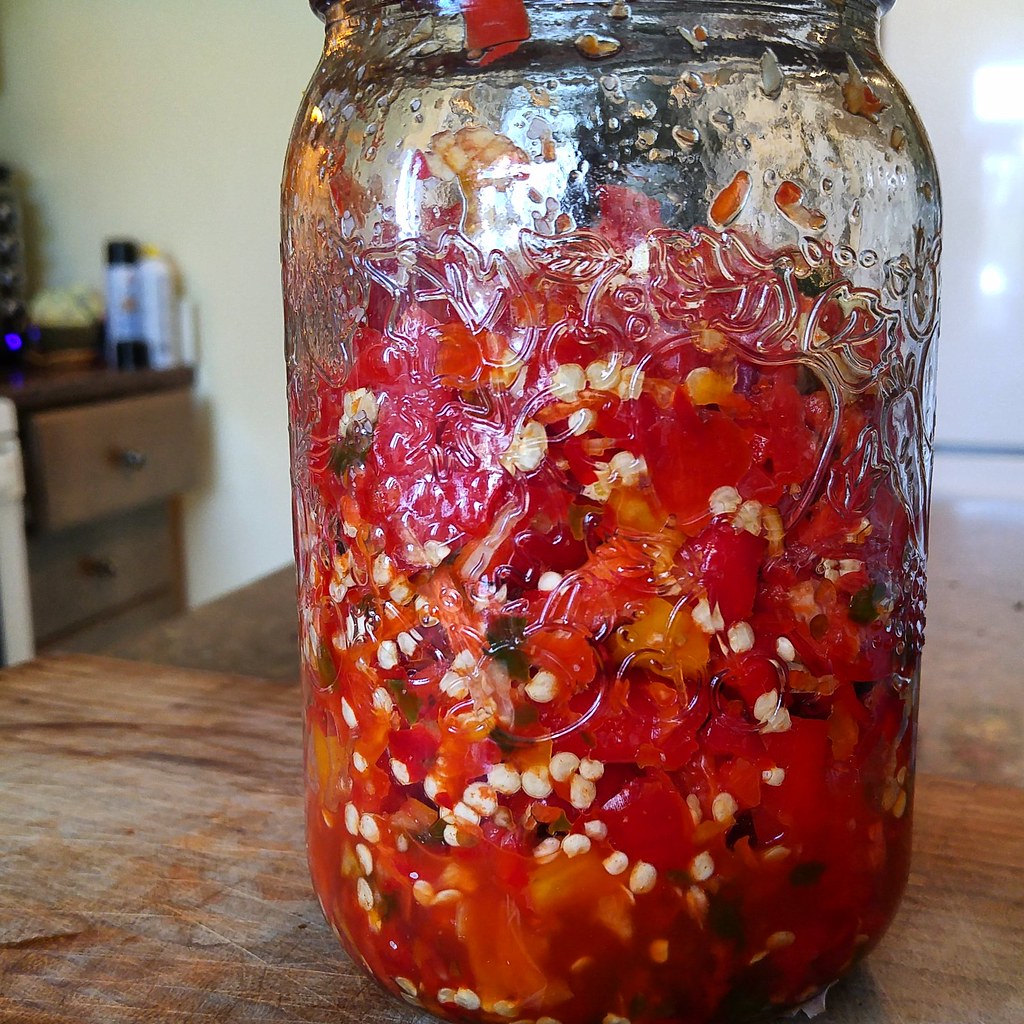 Homemade Fermented ChiliGarlic Sauce What Smells So Good?