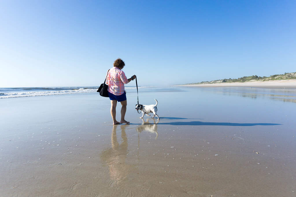 Pawtastic Fun on One of St. Augustine's DogFriendly Beaches and Beyond Solo Travel Girl