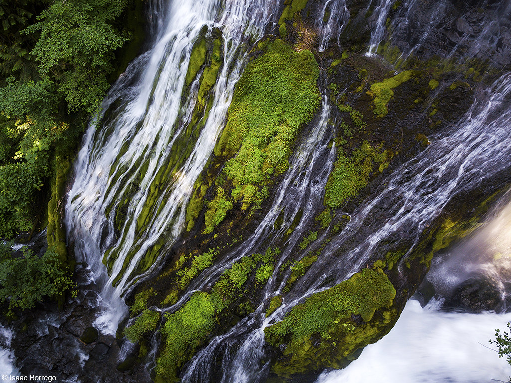 Grassy Knoll Washington Tripcarta