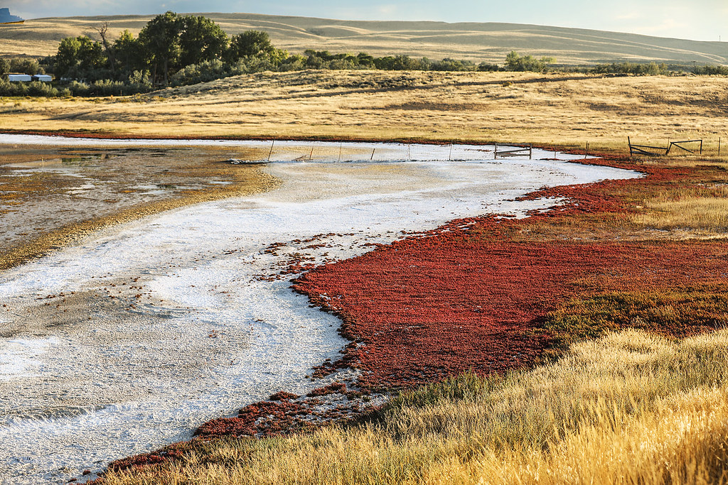 Elevation of West Yellowstone Avenue, W Yellowstone Ave, Cody, WY, USA