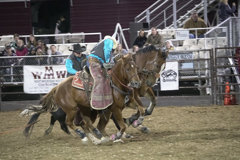 Spanish Fork Rodeo BlueRavenBirders