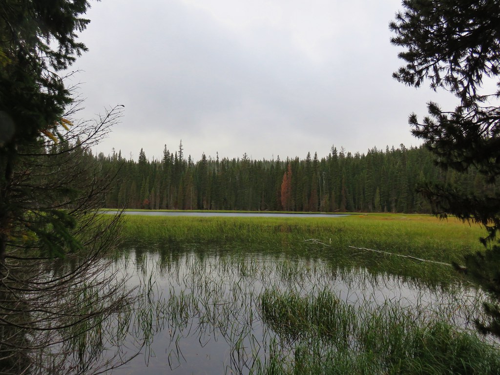 Muskrat Lake Cabin wanderingyuncks