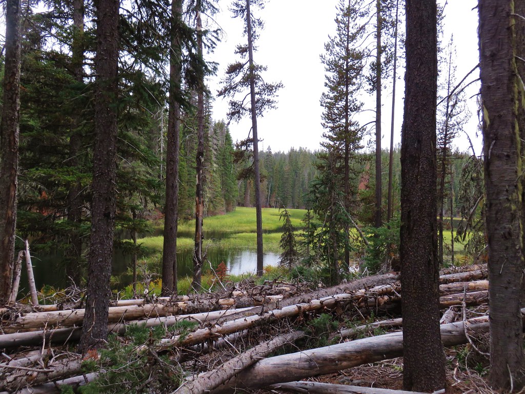 Muskrat Lake wanderingyuncks