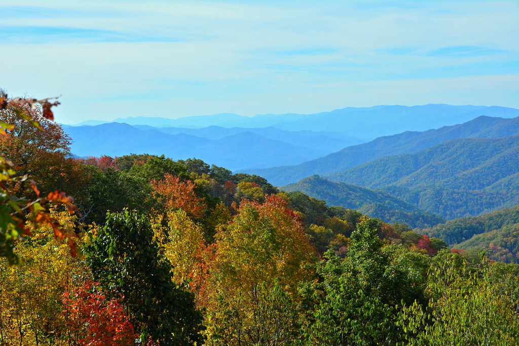 Elevation of Cliff Branch Rd, Gatlinburg, TN, USA Topographic Map Altitude Map