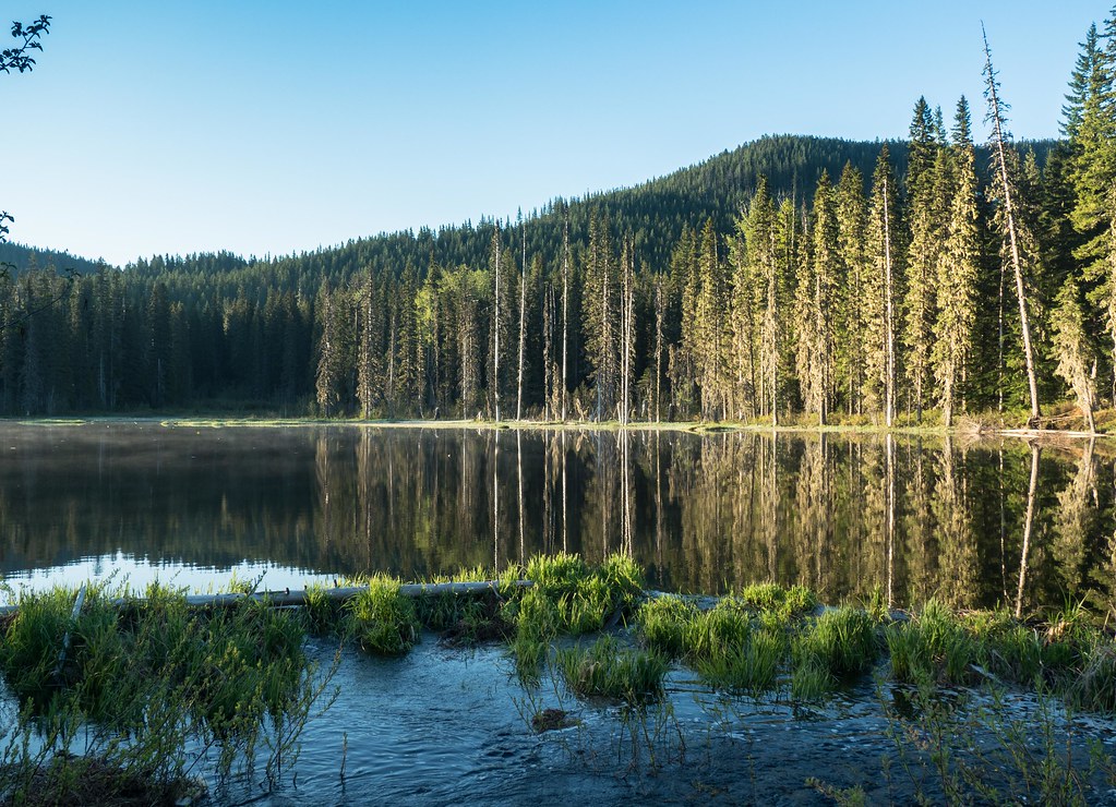 South Prairie Lake Map Washington Mapcarta