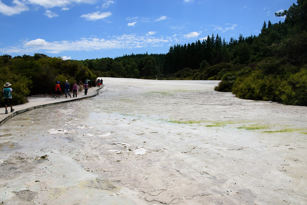 KAINGAROA FOREST Map Auckland Region, New Zealand Mapcarta
