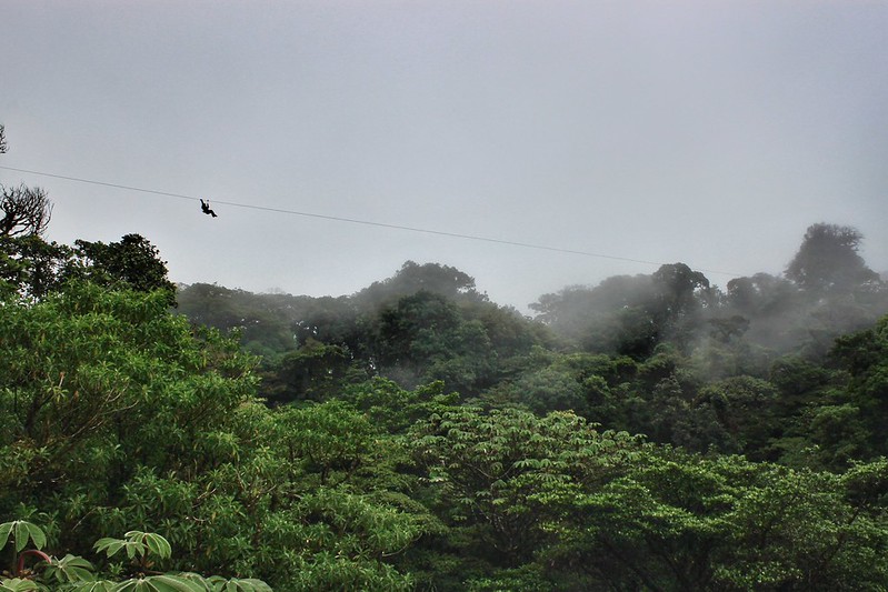 10 épica cosas que hacer en el Bosque nuboso de Monteverde, Costa Rica