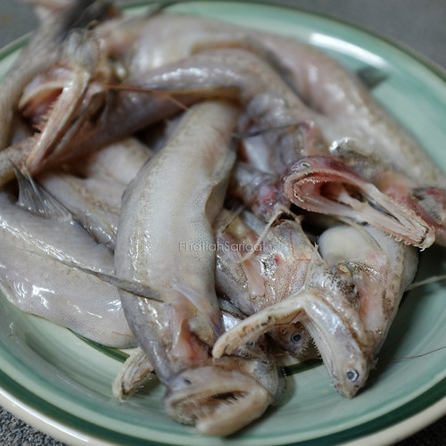 Ikan Lumi Rupa seram tapi sedap. Ee See