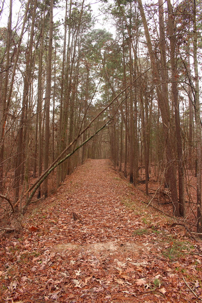 Caney Creek Reservoir Map Louisiana Mapcarta