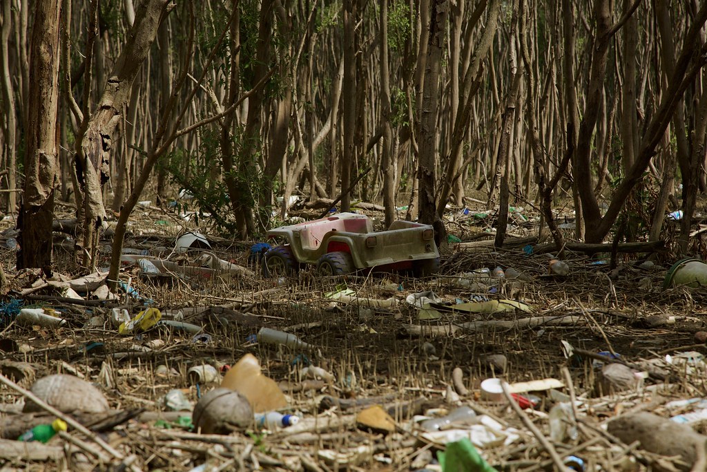 Panama City, Coastal Ecosystems in Peril GRIDArendal