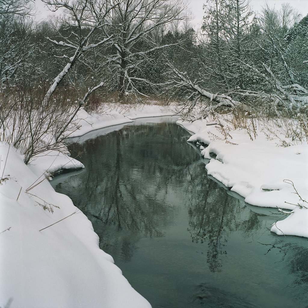 Elevation of Zion Line, Millbrook, ON L0A 1G0, Canada Topographic Map
