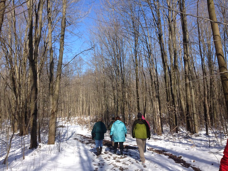 NEWSCouncil of Ohio Audubon Chapters (COAC) Bird Walk Sunday, March 4
