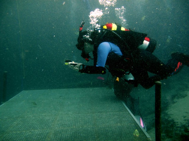 Flickr JACKSONVILLE SCUBA CLASSES