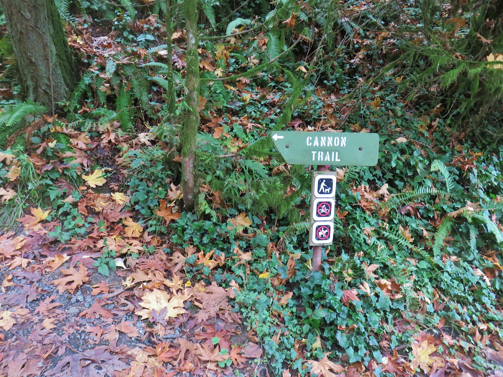 Forest Park Wildwood Trail & Leif Erikson Drive Loop wanderingyuncks