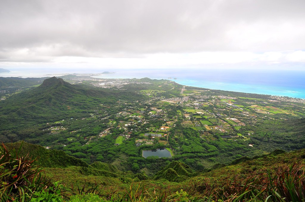 Not So Great Hiking Blog Hawaii Loa Ridge