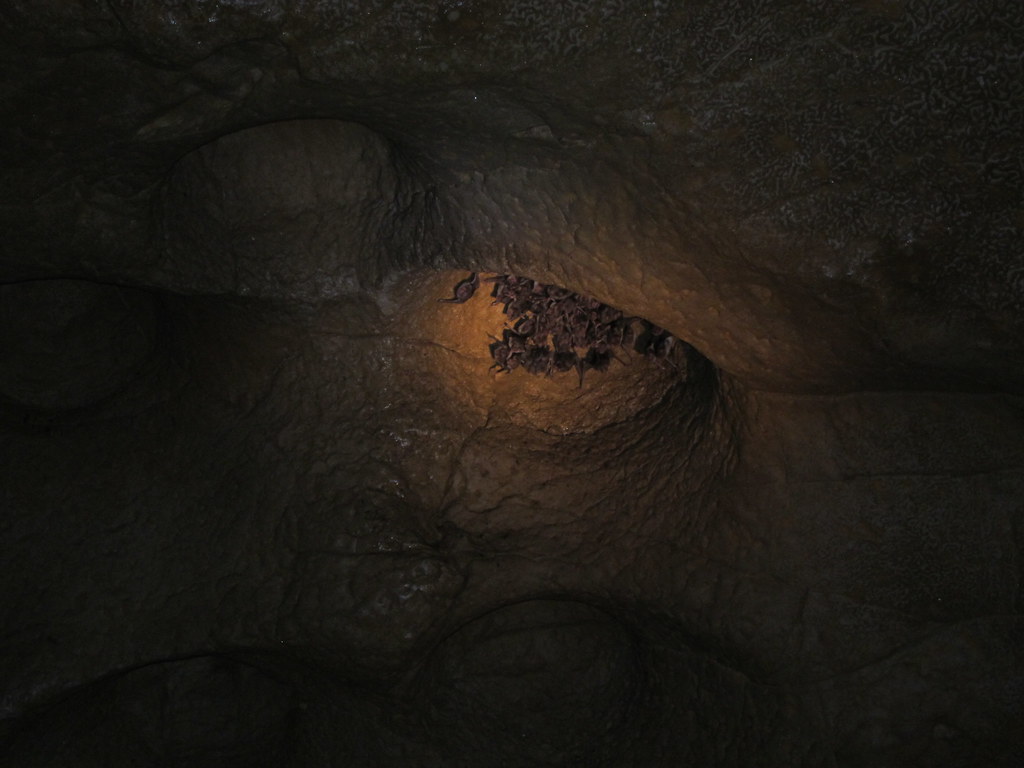 Caverns and Sarcophoguys! Till The Money Runs Out