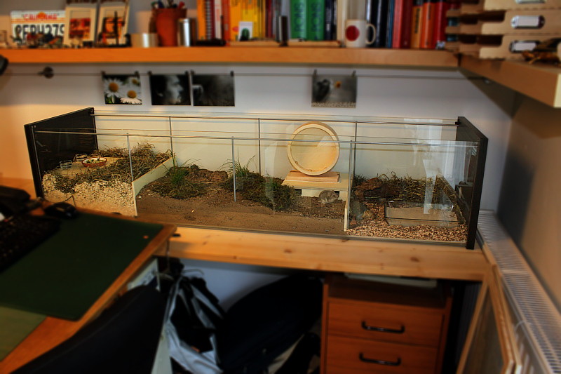 Ikea Vitrine Hamsterkäfig Test 2