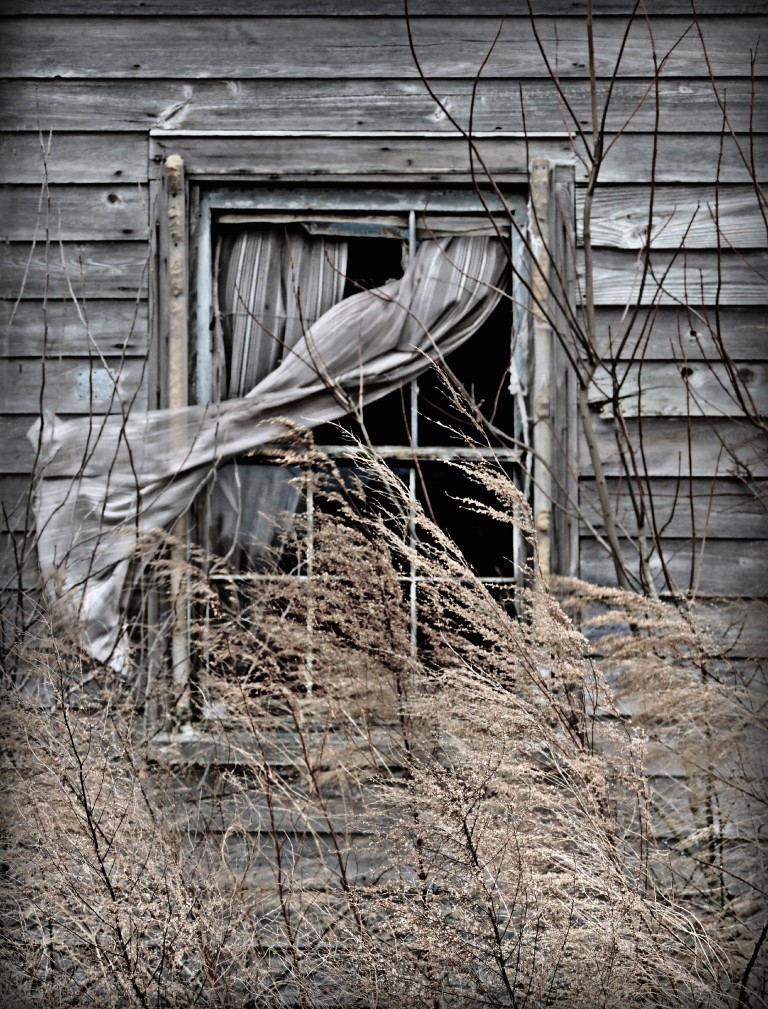 The World's most recently posted photos of sharecropper