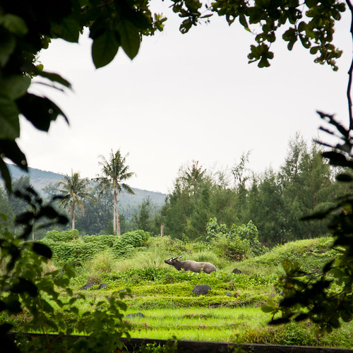 Elevation of Namantao, Daraga, Albay, Philippines Topographic Map