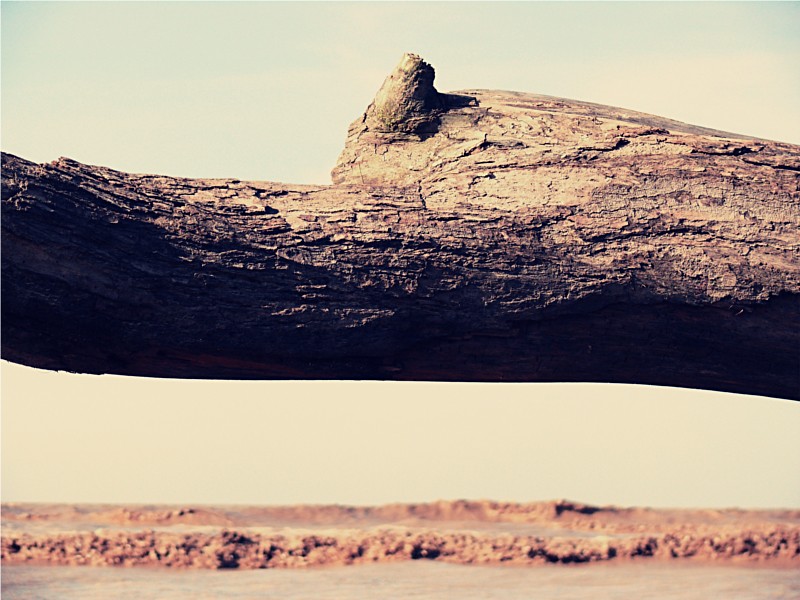 Plaisance Guyana Tripcarta