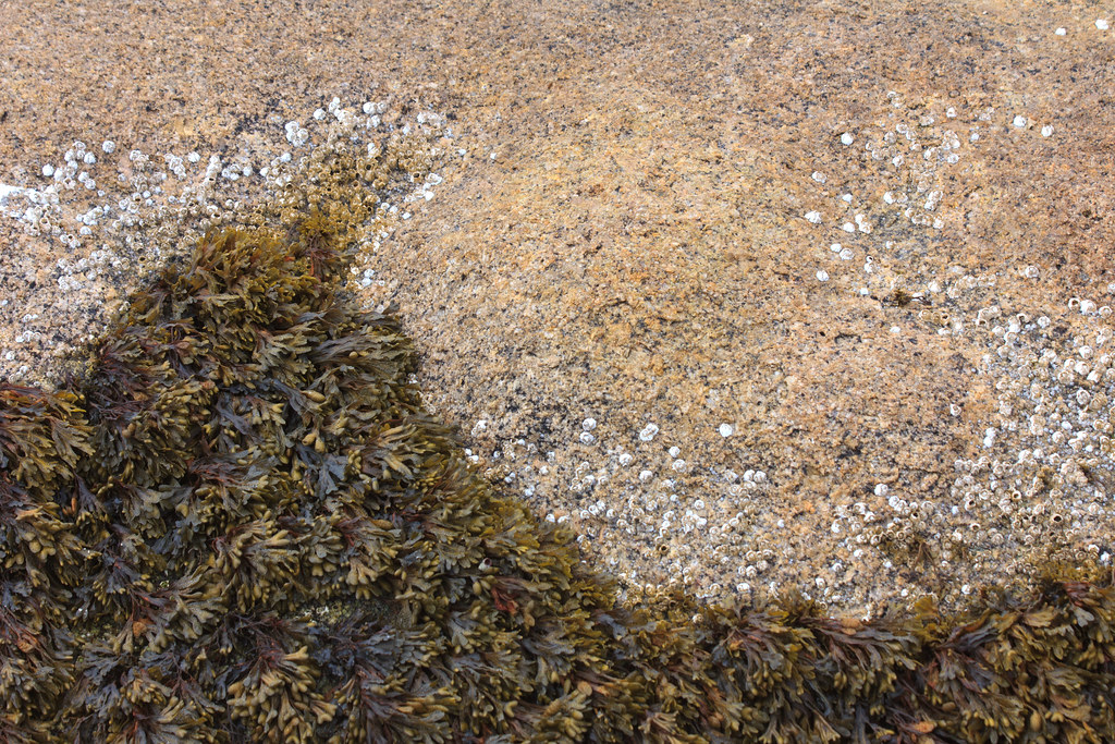 Great Spruce Head Island Map Hancock County, Maine Mapcarta