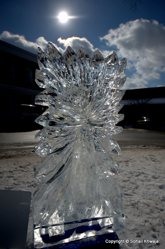 Elevation of Ligonier, PA, USA Topographic Map Altitude Map