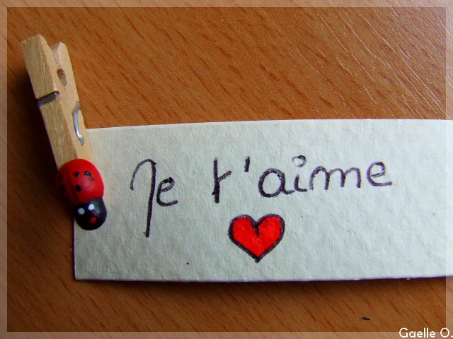 Moi aussi je taime petite coccinelle Macro Aout 2008 Gaelle O. Flickr