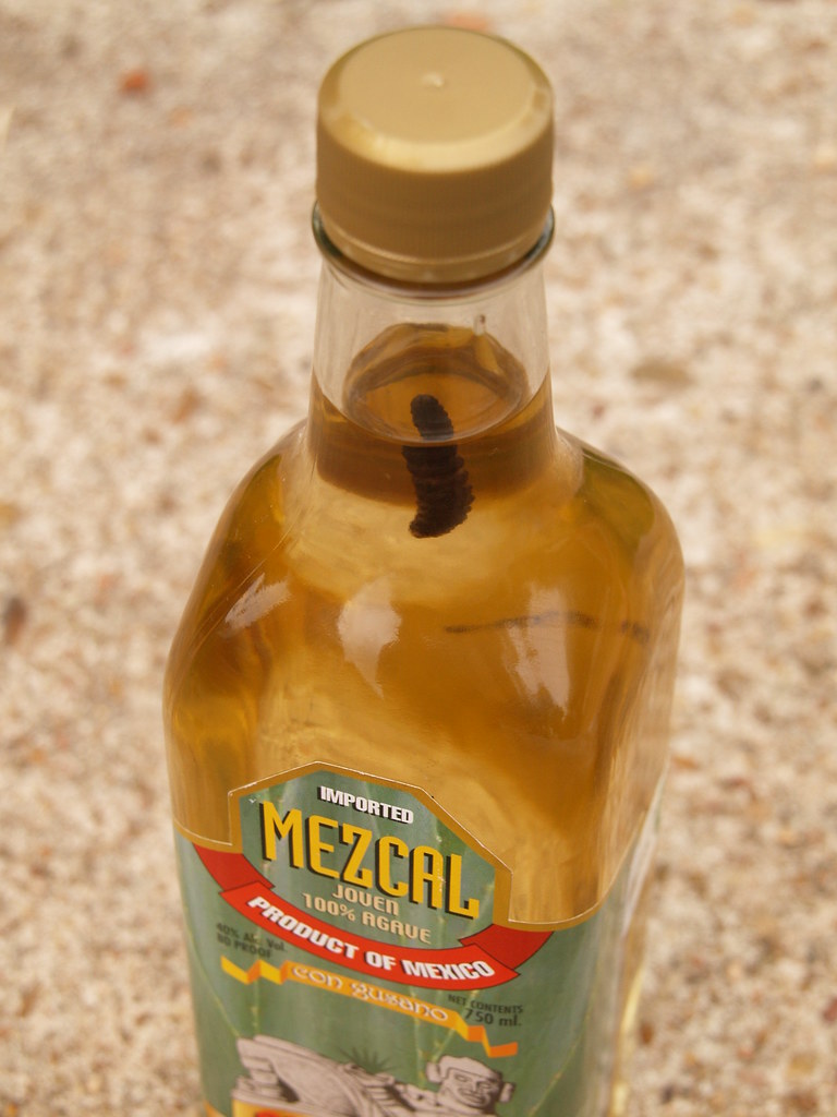 Worm In Tequila Bottle Bottle Designs