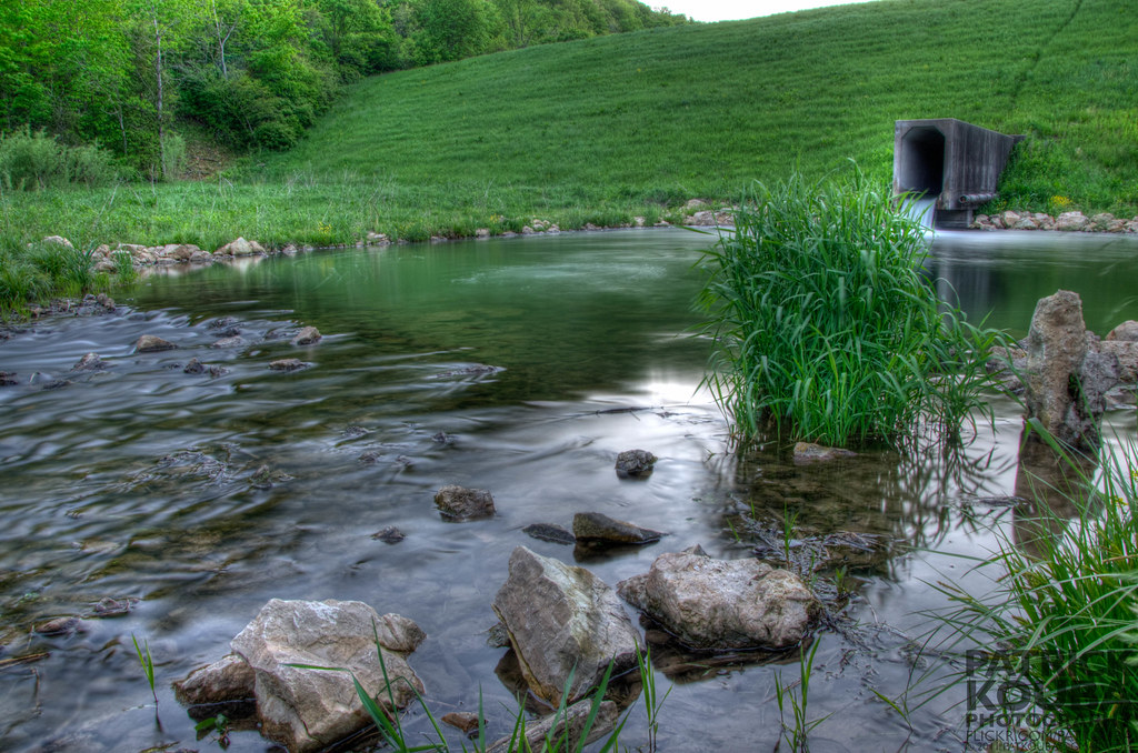 Elevation of WI, Viola, WI, USA Topographic Map Altitude Map