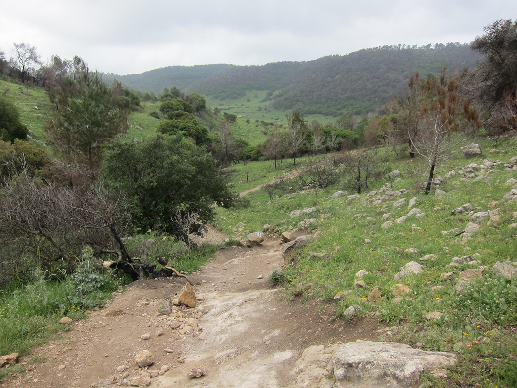 Mount Carmel Map Israel Mapcarta