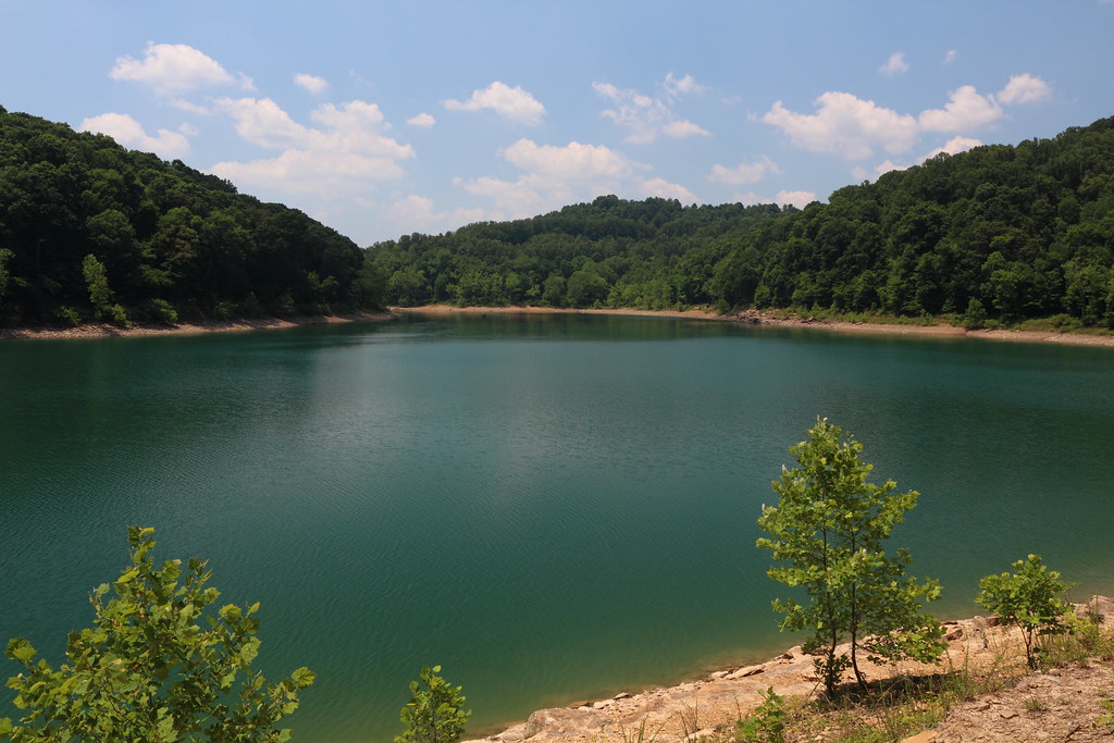 Elevation of Brushy Fork Rd, Buckhannon, WV, USA Topographic Map