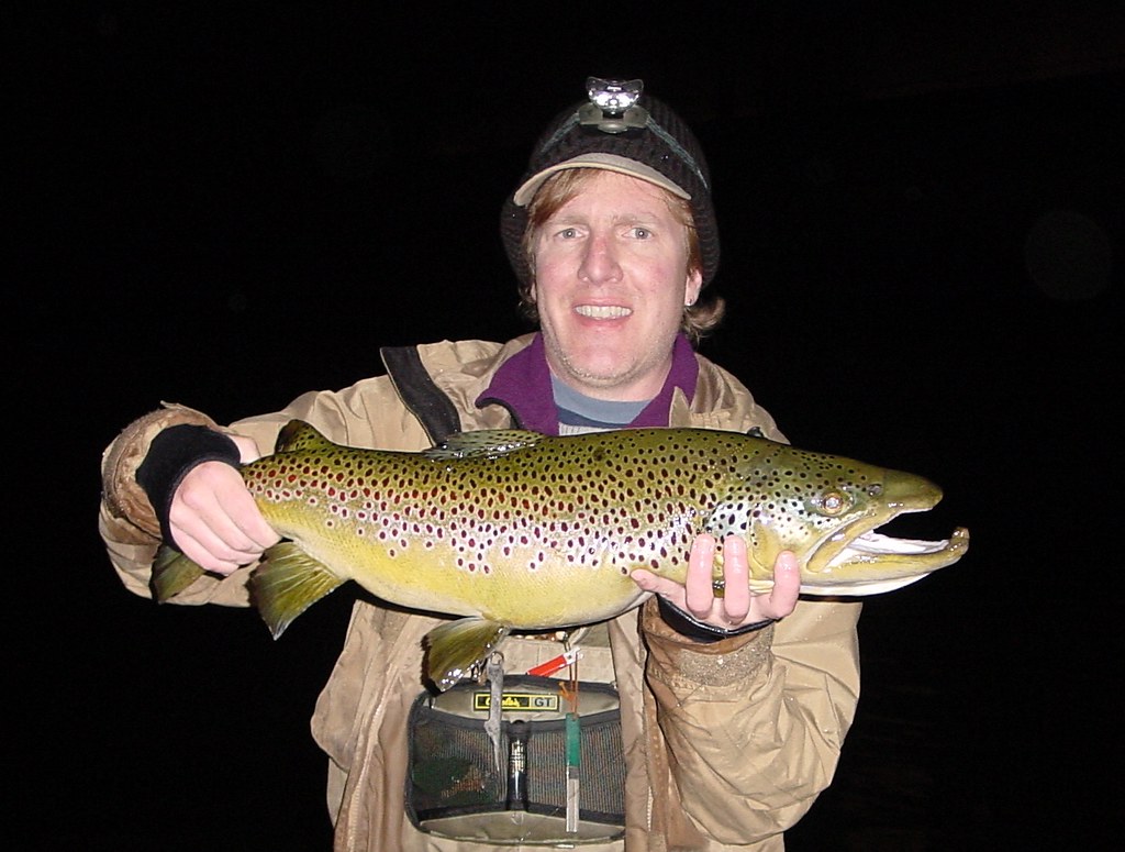 Trophy Brown Trout Official Site of Matt Wilder