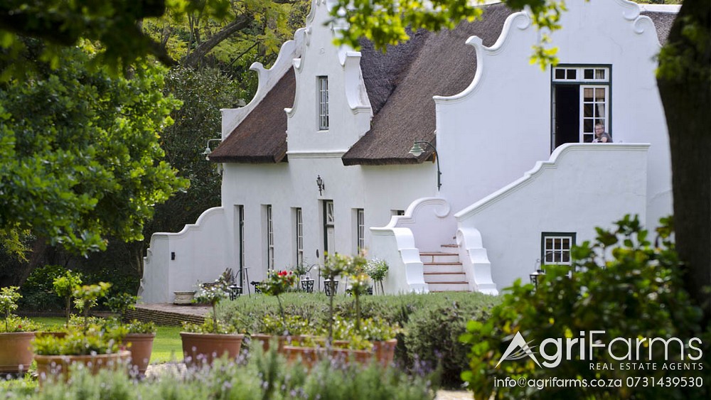 Wine, Olive, Fruit, Guest & Venue Smallholding AGF0284 Farms for Sale Western Cape