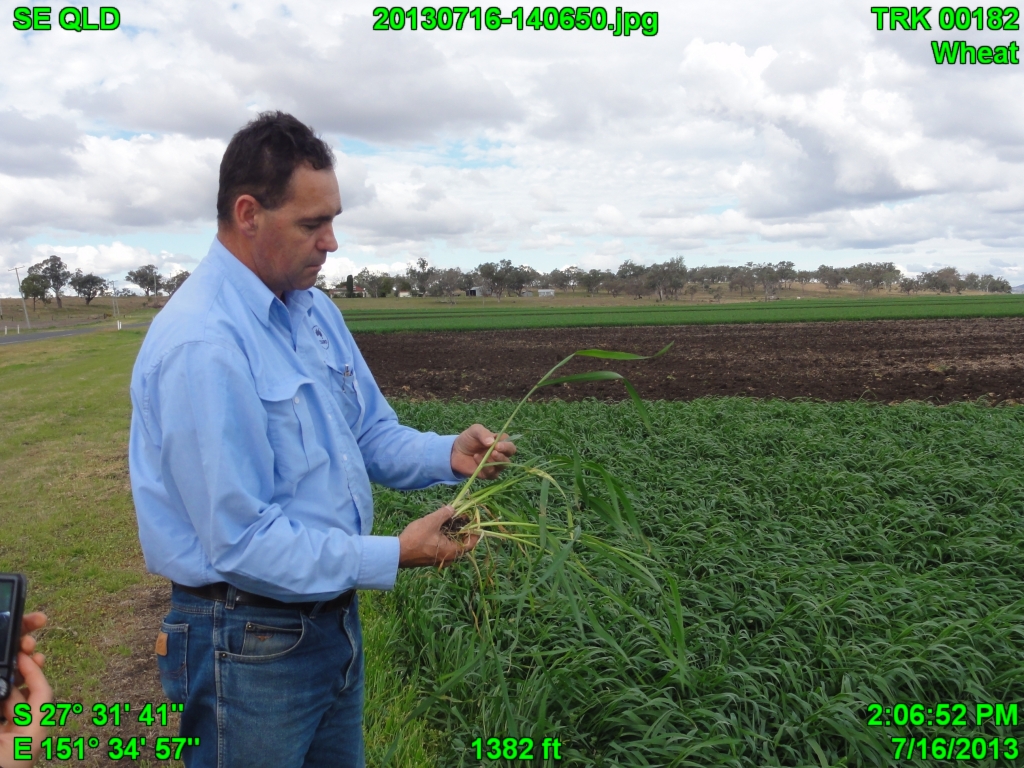 Toowoomba Regional, Toowoomba, QLD, Australia Sunrise Sunset Times