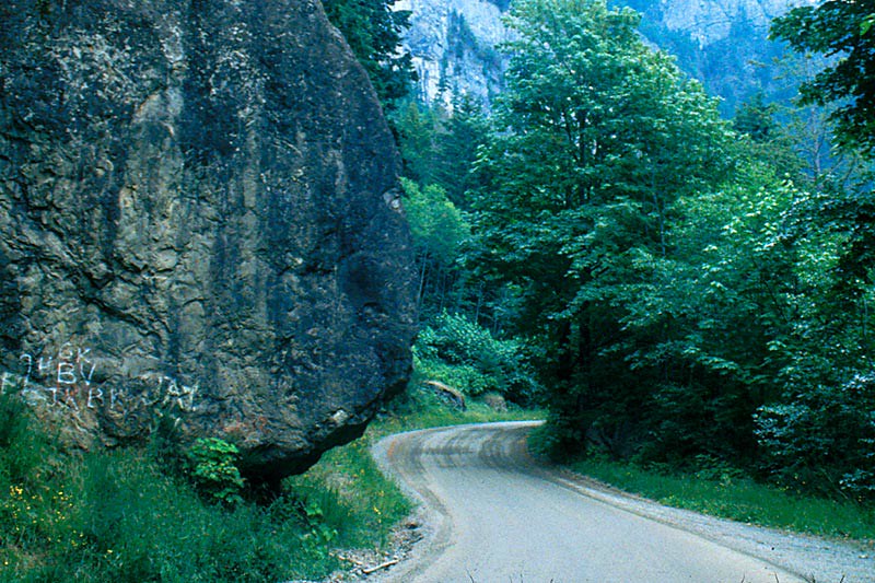 Horne Lake Caves Provincial Park Vancouver Island News, Events