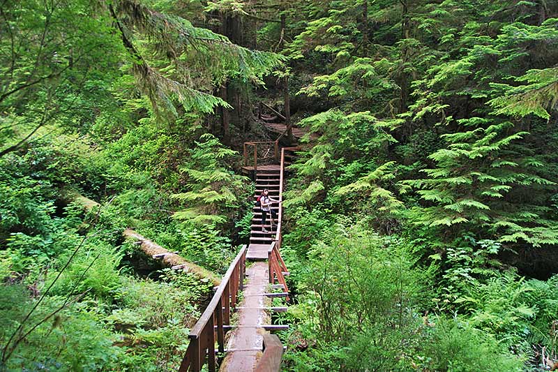 Hiking & Backpacking on Vancouver Island and Gulf Islands British