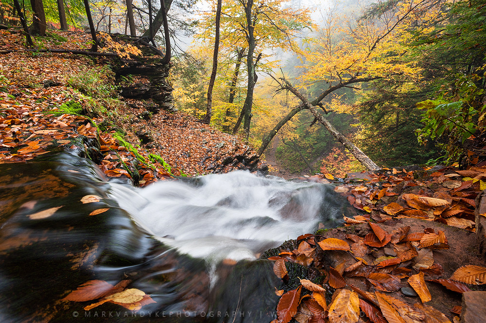 Elevation of Laporte Township, PA, USA Topographic Map Altitude Map